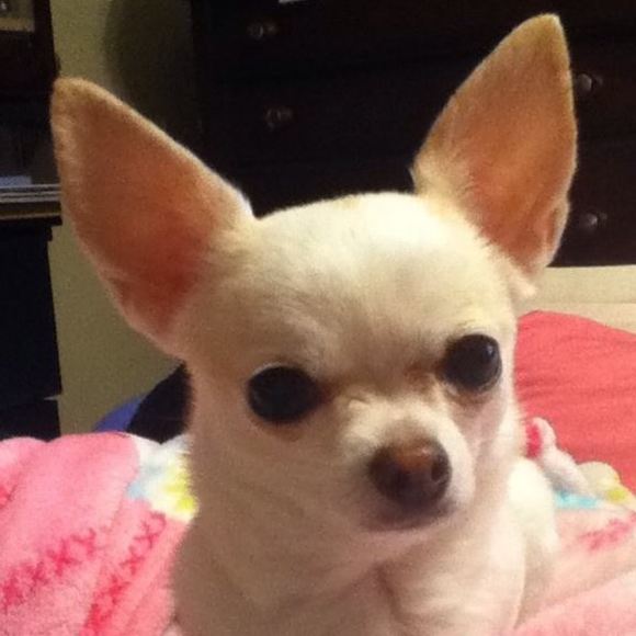 Meet your Posher, Shawn - Picture 1 of 1